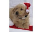 Puppy for Christmas! Reserve Today-