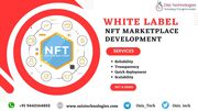 White Label NFT Marketplace Development Company | Osiz Everything You 