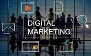 Digital Marketing: The Future of Business Growth