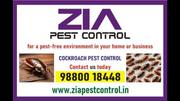 Cockroach pest control | Zia Pest Control Best Price and service 